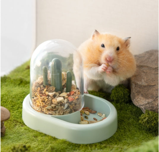 Enhance Your Hamster's Life with the Creative Cactus Automatic Feeder